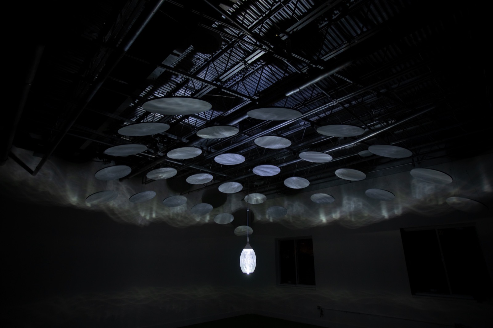 Radiolaria — process view